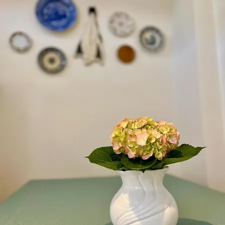 Terracota 2 Quartos Parque Pet Friendly Lejlighed Aveiro