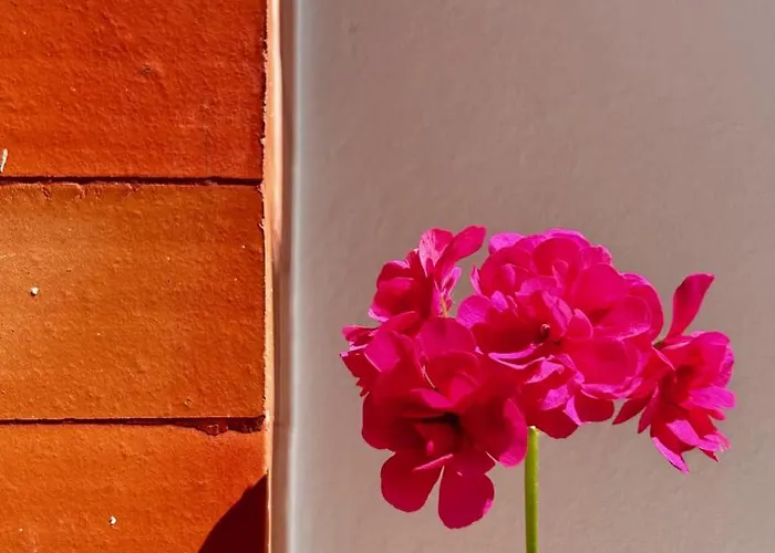 Terracota 2 Quartos Parque Pet Friendly Apartment *