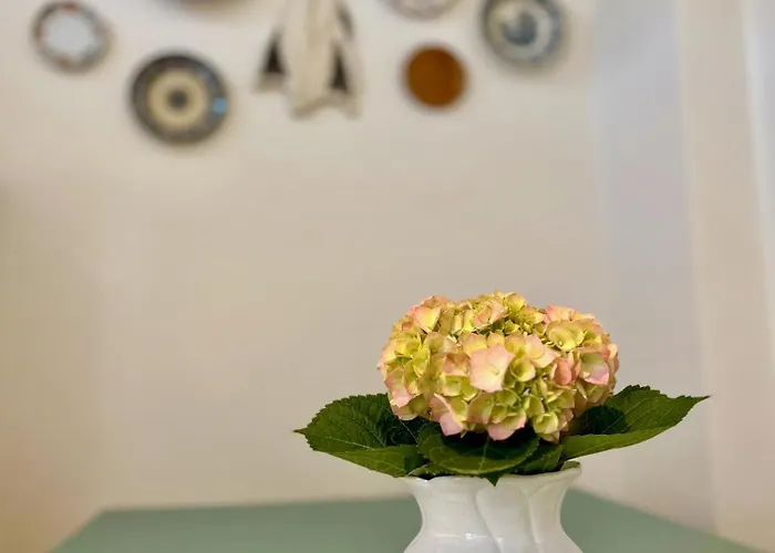 Terracota 2 Quartos Parque Pet Friendly Apartment Aveiro